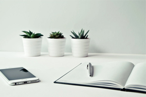 企業(yè)網(wǎng)站建設(shè)要遵循哪些原則呢？網(wǎng)站建設(shè)哪家專(zhuān)業(yè)?