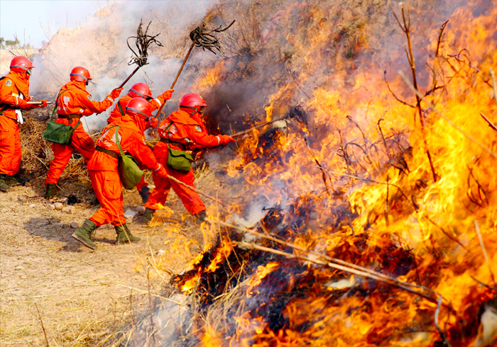 深圳芬翁信息咨詢(xún)有限公司